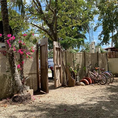 Hotel Selva Bacalar - Free Bike Rental Екстериор снимка