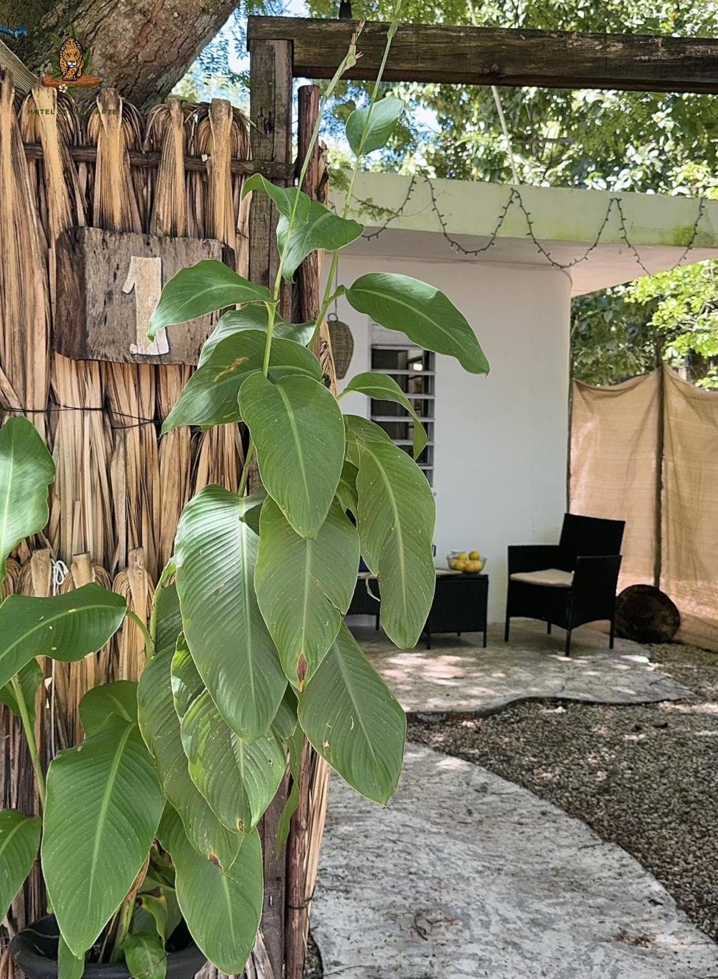 Hotel Selva Bacalar - Free Bike Rental Екстериор снимка